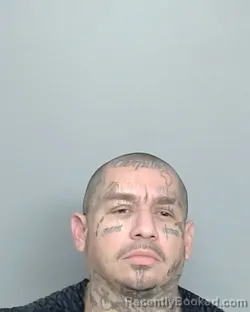 Mugshot of JAMES MCKINELY MEBANE