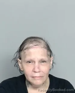 Mugshot of ELIZABETH LEYVA