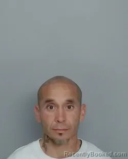 Mugshot of JOE DELEON