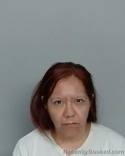 Mugshot of SAN JUANA VILLANUEVA booked in Nye County, Nevada on June 24, 2026