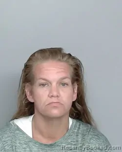 Mugshot of CRYSTAL GAYLE HOLDER booked in Nye County, Nevada on June 22, 2026