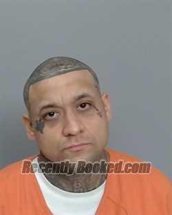 Booking photo from Nye County, Nevada