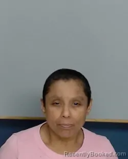 Mugshot of BRENDA SANCHEZ