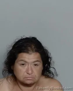 Mugshot of DENISE CAMILO