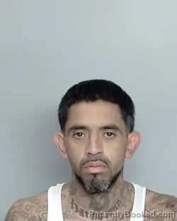 Mugshot of ROCKY GONZALEZ