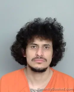 Mugshot of FERNANDO DANIEL GUZMAN