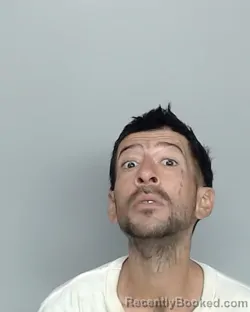 Mugshot of RENE VILLANUEVA