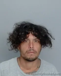Mugshot of FIDENCIO VILLARREAL