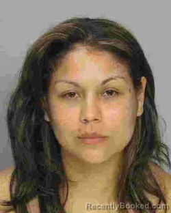 Mugshot of CRYSTAL WATERS booked in Nye County, Nevada on July 5, 2026