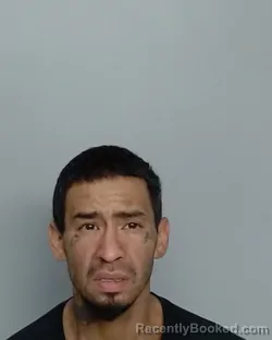 Mugshot of CHRISTOPHER IGNACIO FARIAS