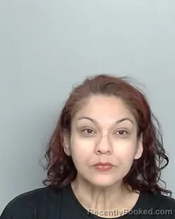 Mugshot of MIRAM PINEDA