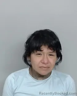 Mugshot of DONNA MARIE GARCIA booked in Nye County, Nevada on March 14, 2026