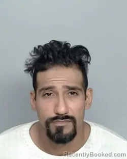 Booking photo from Nye County, Nevada