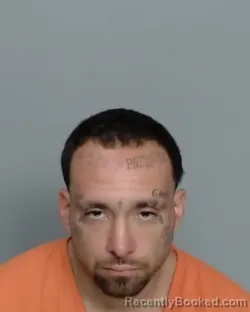 Mugshot of JOSE GUADALUPE SALAZAR