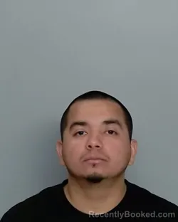 Mugshot of JUAN LOUIS MORALES