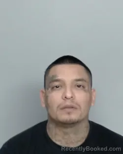 Mugshot of ANGEL RAMOS booked in Nye County, Nevada on March 20, 2026