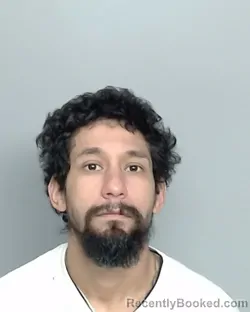 Mugshot of ROGER RAMON