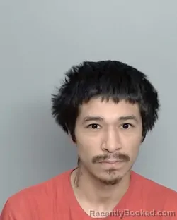 Mugshot of NICOLAS CASTRO
