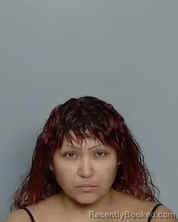 Mugshot of FELICIA BONIFACIA SANTOS booked in Nye County, Nevada on July 2, 2026