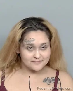 Mugshot of KIMBERLY CONSTANTE