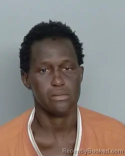 Mugshot of RONISHA ROANE