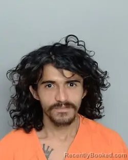 Mugshot of RAUL VITO CHAVERA