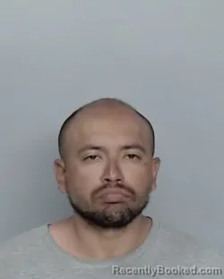 Mugshot of JOSE LUIS MORALES-ANAYA