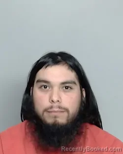 Mugshot of GLENN HAMILTON