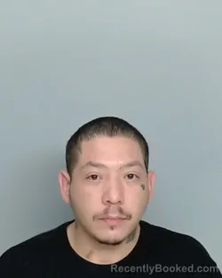 Mugshot of MARTIN BLANCO