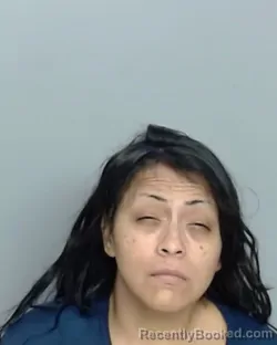Mugshot of CHRISTINE NICOLE RAMIREZ