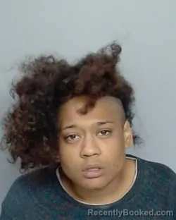 Mugshot of CHANELE COLLINS