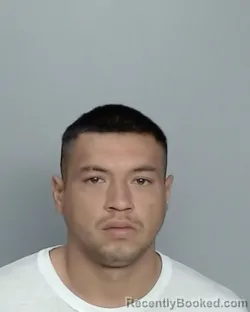 Mugshot of DOMINGO VILLANUEVA