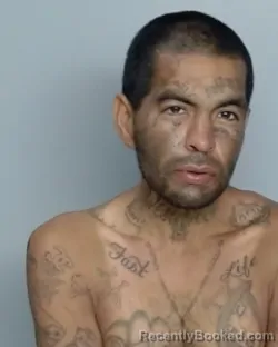 Mugshot of MARIO HUMBERTO VASQUEZ