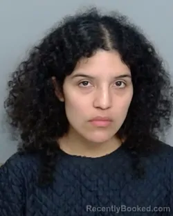 Mugshot of ANITA GUAJARDO