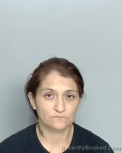 Mugshot of RACHEL LAWSON