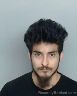 Mugshot of SHASE SANCHEZ