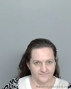 Mugshot of ANNA JULIAH HEFLIN