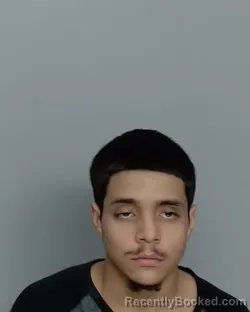 Mugshot of CHRISTOPHER ALEXANDER VILLANUEVA