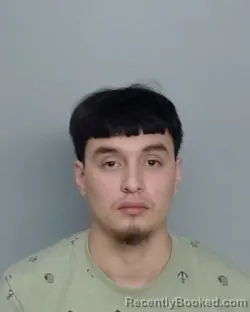 Mugshot of RONALD CASTILLO booked in Nye County, Nevada on April 25, 2026