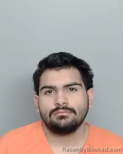 Mugshot of RODOLFO REYNA