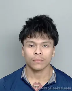 Mugshot of LUIS ZAPATA