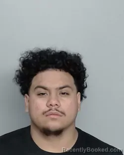 Mugshot of ALFREDO HINOJOSA