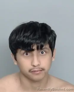 Mugshot of JOHN ANTHONY DELAROSA