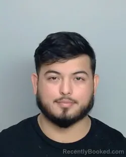 Mugshot of RAMON PONCE