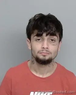 Mugshot of ISAIAH A WILLIAMS