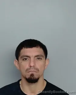 Mugshot of ANGEL LONGORIA