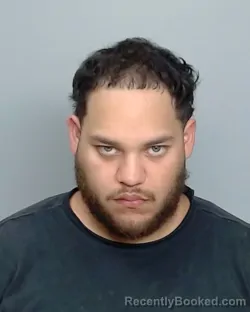 Mugshot of JAMES MICHAEL PONCE