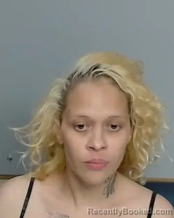 Booking photo from Nye County, Nevada