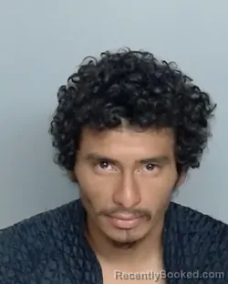 Mugshot of JOSE RODRIGUEZ