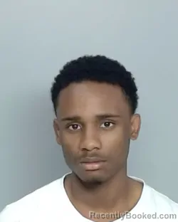 Mugshot of NI CORION DEMMONE MCCOWAN